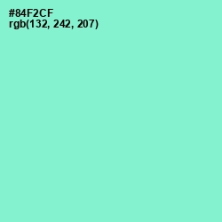 #84F2CF - Riptide Color Image