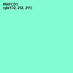 #84FCD3 - Riptide Color Image
