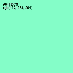 #84FDC9 - Riptide Color Image