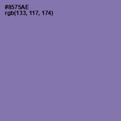 #8575AE - Purple Mountain's Majesty Color Image