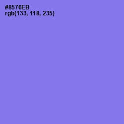 #8576EB - True V Color Image