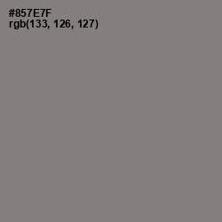 #857E7F - Hurricane Color Image