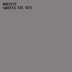 #857F7F - Hurricane Color Image