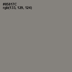 #85817C - Schooner Color Image