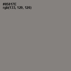#85817E - Schooner Color Image