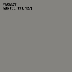 #85837F - Schooner Color Image