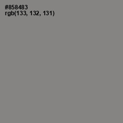 #858483 - Gunsmoke Color Image