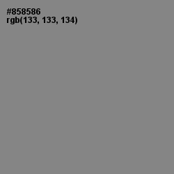 #858586 - Gunsmoke Color Image