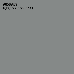 #858A89 - Gunsmoke Color Image