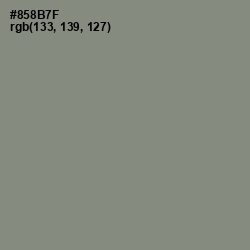 #858B7F - Schooner Color Image