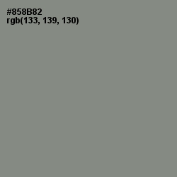 #858B82 - Gunsmoke Color Image