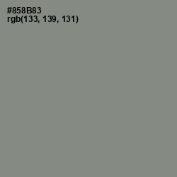 #858B83 - Gunsmoke Color Image