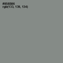 #858B86 - Gunsmoke Color Image