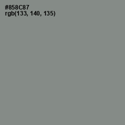 #858C87 - Stack Color Image