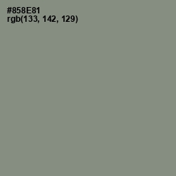 #858E81 - Gunsmoke Color Image