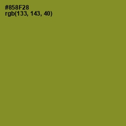 #858F28 - Sycamore Color Image