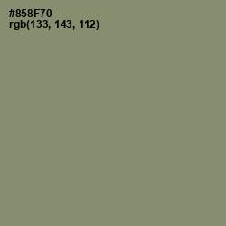 #858F70 - Battleship Gray Color Image