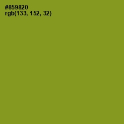 #859820 - Sycamore Color Image