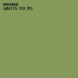 #85995B - Avocado Color Image