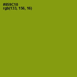 #859C10 - Olive Color Image