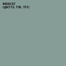 #859C97 - Mantle Color Image