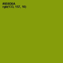 #859D0A - Olive Color Image