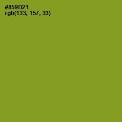 #859D21 - Sycamore Color Image