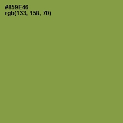 #859E46 - Chelsea Cucumber Color Image