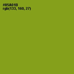#85A01B - Citron Color Image