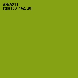#85A214 - Citron Color Image