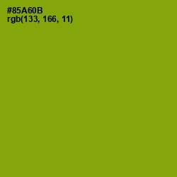 #85A60B - Citron Color Image