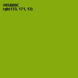 #85AB0C - Citron Color Image