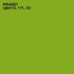 #85AB21 - Sushi Color Image