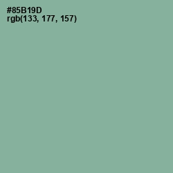 #85B19D - Envy Color Image