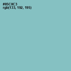 #85C0C3 - Half Baked Color Image