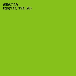 #85C11A - Pistachio Color Image