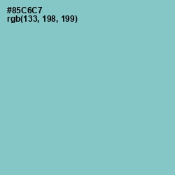 #85C6C7 - Half Baked Color Image