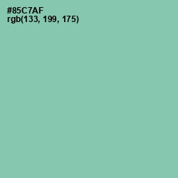 #85C7AF - Vista Blue Color Image