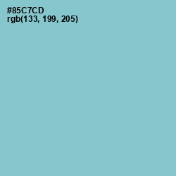 #85C7CD - Half Baked Color Image
