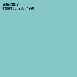 #85C8C7 - Half Baked Color Image