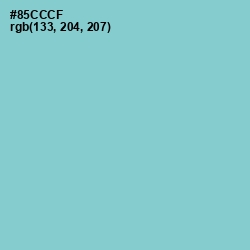 #85CCCF - Half Baked Color Image