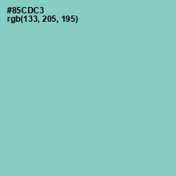 #85CDC3 - Half Baked Color Image
