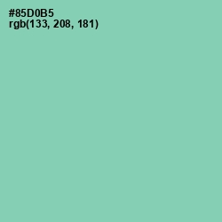 #85D0B5 - Vista Blue Color Image