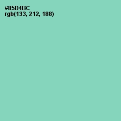 #85D4BC - Vista Blue Color Image