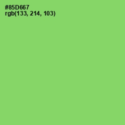 #85D667 - Conifer Color Image