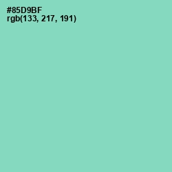 #85D9BF - Vista Blue Color Image
