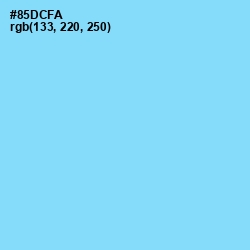 #85DCFA - Seagull Color Image