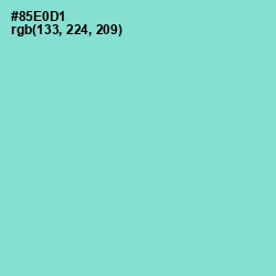 #85E0D1 - Riptide Color Image