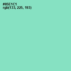 #85E1C1 - Riptide Color Image