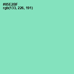 #85E2BF - Algae Green Color Image